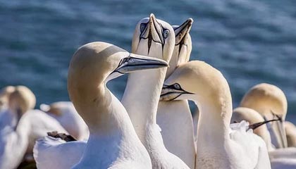 魔兽:职业套装掉落大改!按护甲类型区分,板甲竞争太大!